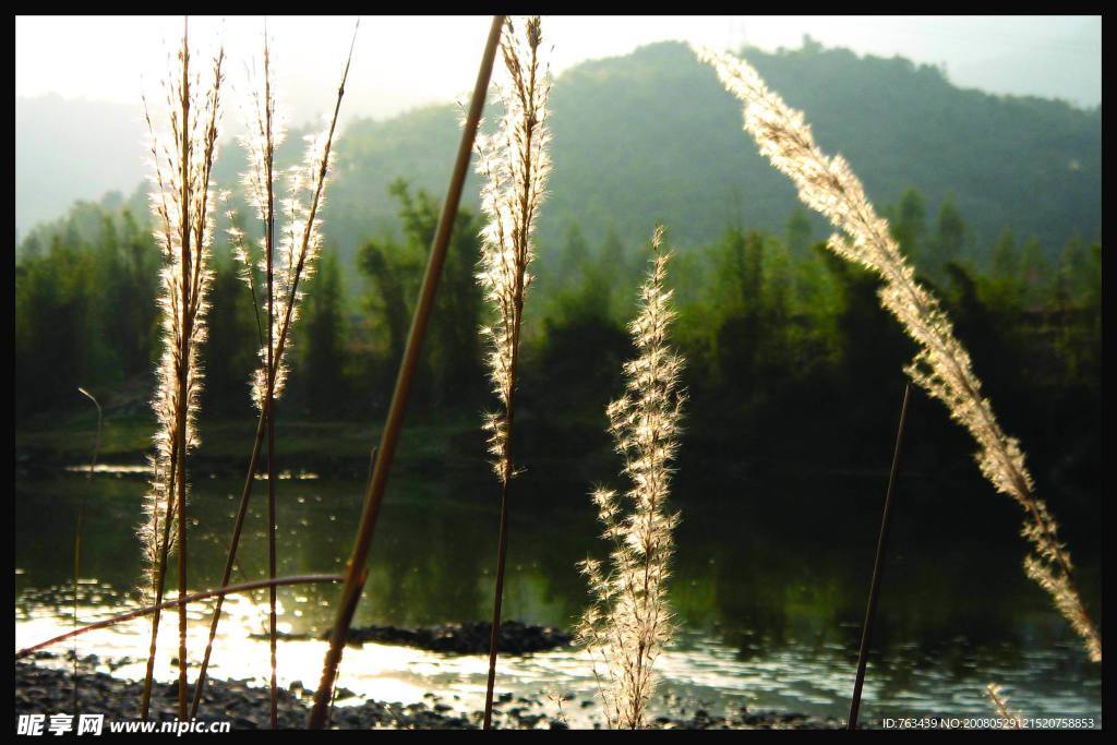 河边小曲