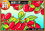 自己画之小番茄