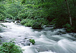 清山绿水