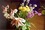鲜花一束 百合 黄花