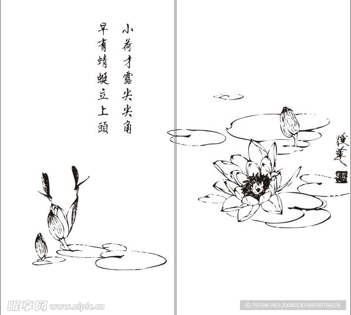睡莲