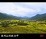 春到山村披金甲