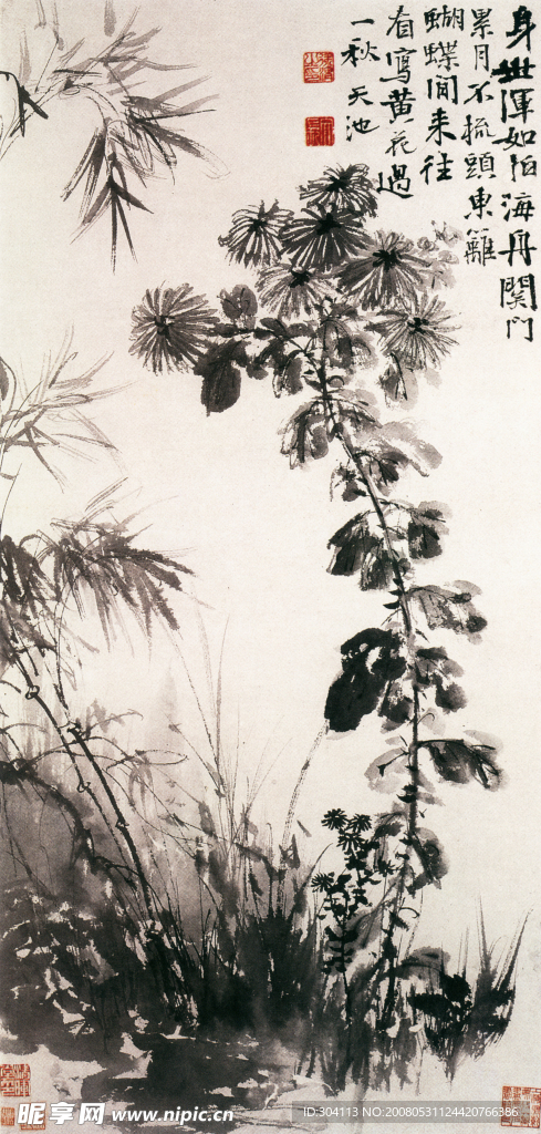 菊竹图