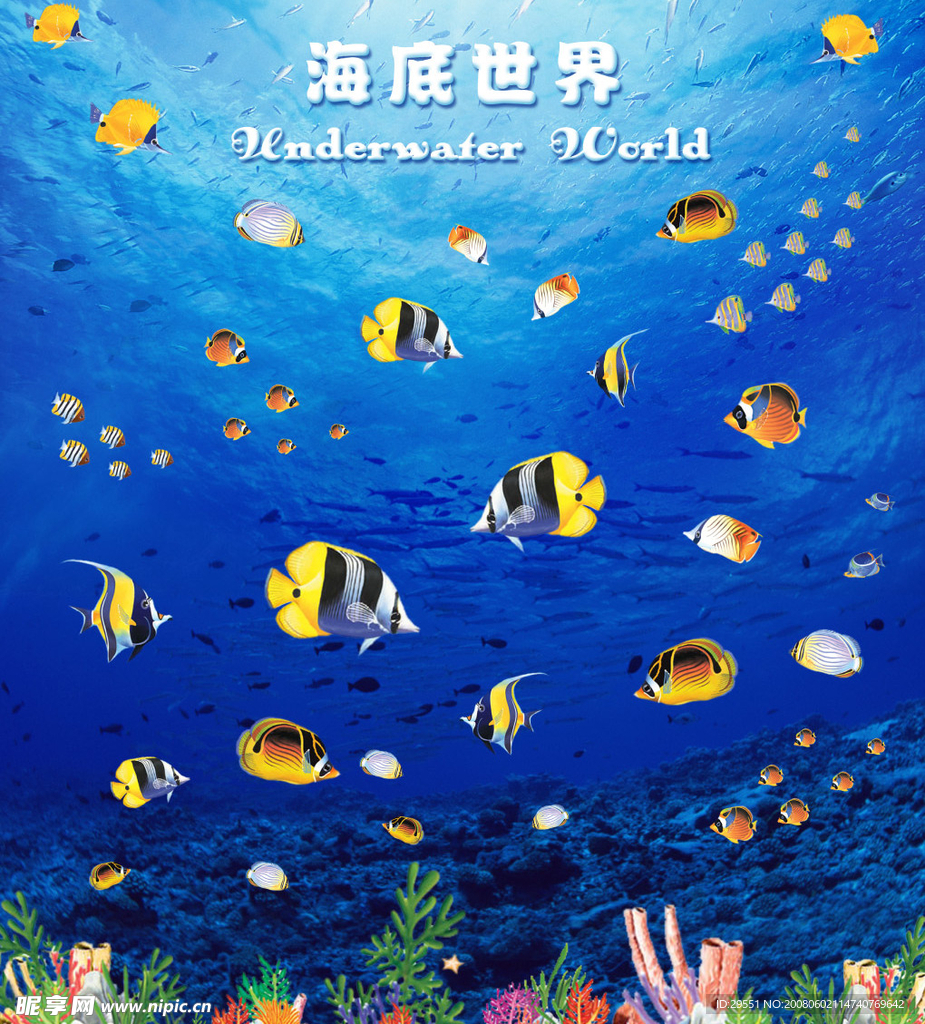 海底世界