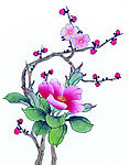 梅花盛开