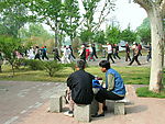 和谐社会