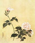 花卉图