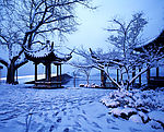 断桥残雪