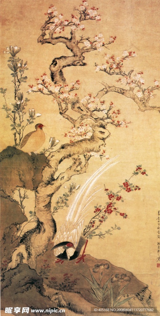 杏花锦鸡图