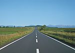 道路百科