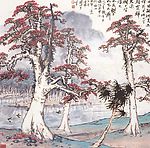 红棉