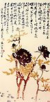 黑牡丹
