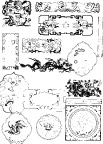 24种花纹