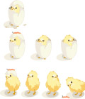 鸡与鸡蛋