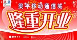 移动方案