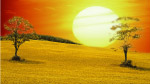 太阳