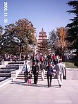 秋到雁塔