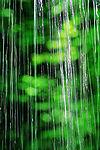 水丝如雨