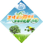 浓情夏日