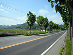 公路