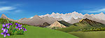 风景