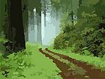 森林小路