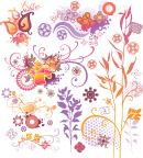 花纹