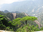 泰山一景.迎客松