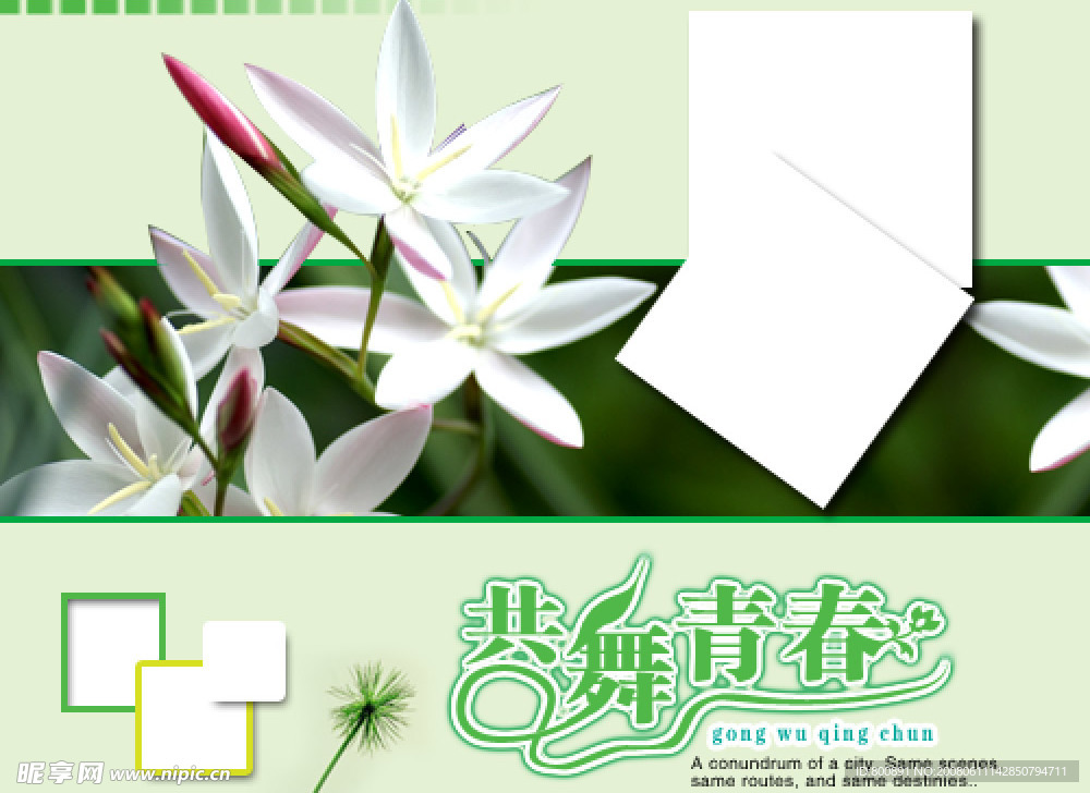 大头贴