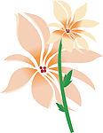 花