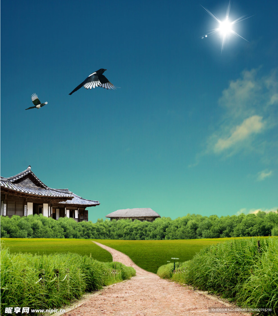 乡村风景