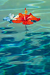 水上花