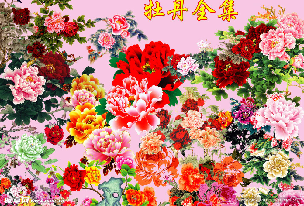牡丹全集