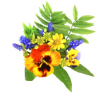 鲜花