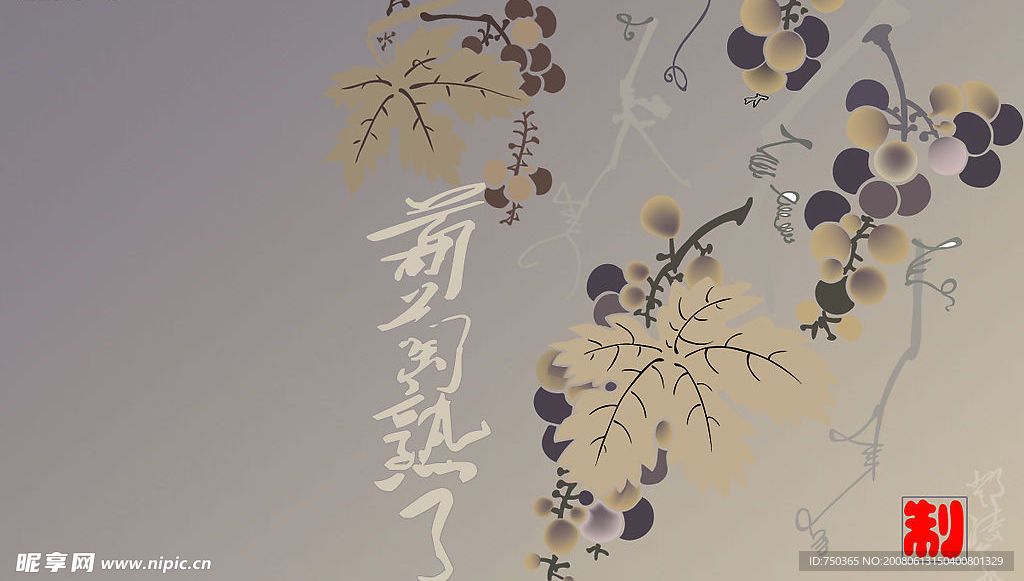 植物葡萄