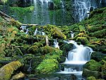 山水