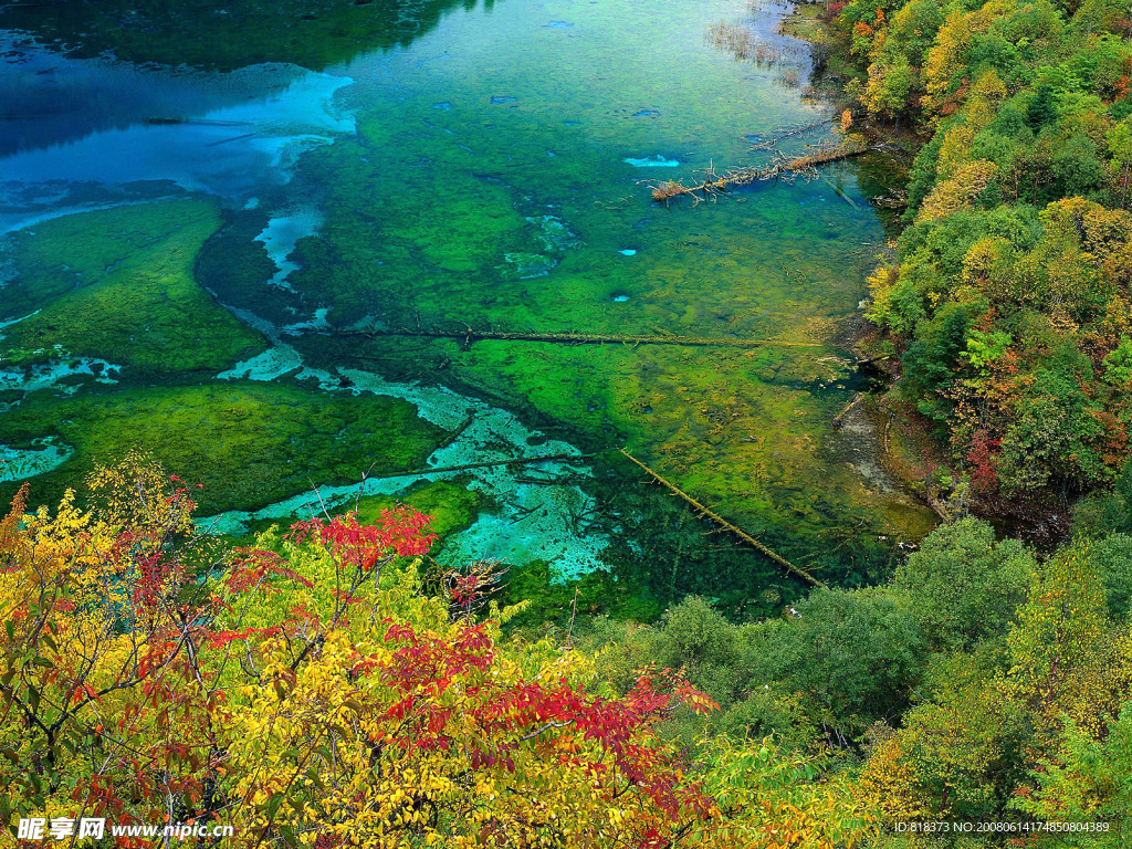 风景风光