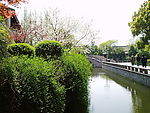 春天 公园 花草 树木