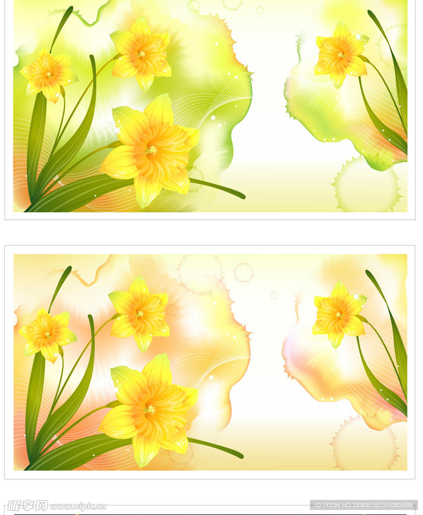 黄花