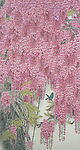 花鸟