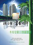 房产 淡雅