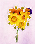漂亮鲜花花束