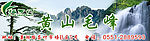 茶叶 网站banner