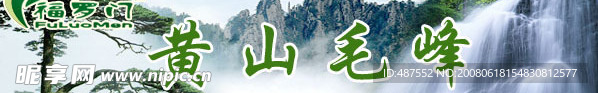 茶叶 网站banner