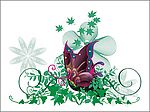 蝴蝶