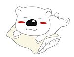 小熊5