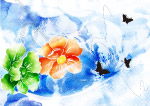 绚彩花纹
