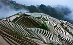 龙脊梯田