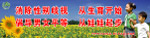 计生宣传标语