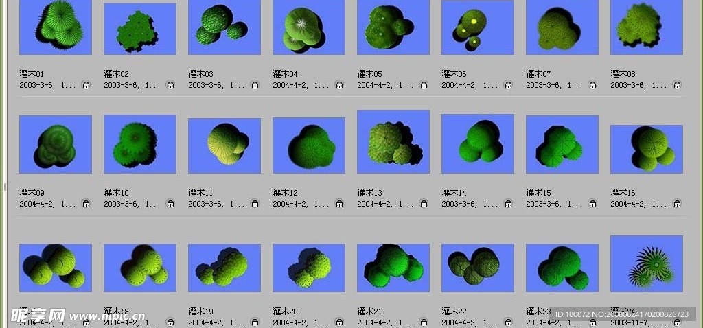 配景素材——灌木